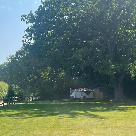 Old Dairy Farm Glamping Hotel Emsworth Bagian luar foto