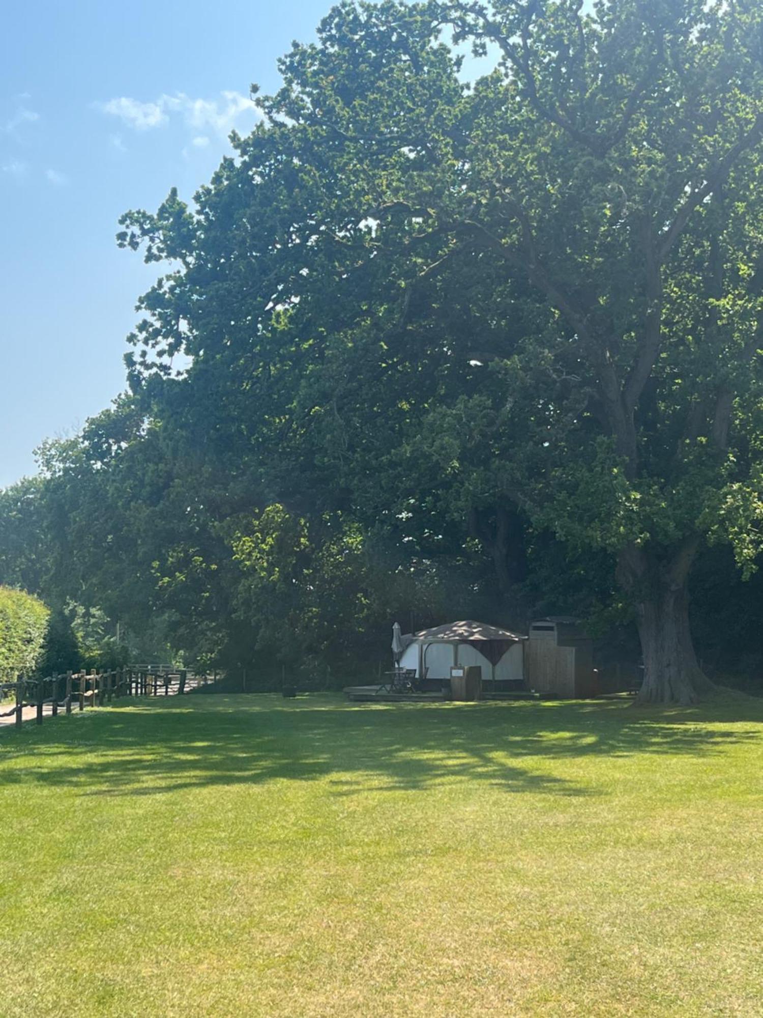 Old Dairy Farm Glamping Hotel Emsworth Bagian luar foto